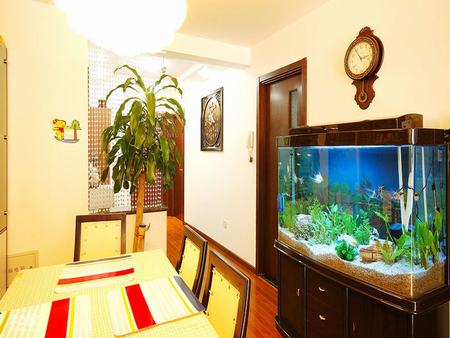 客厅鱼缸正确摆放位置