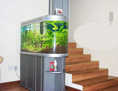 为何养鱼要择日?如何决定鱼缸和养鱼位置?摆好鱼缸位置招来财运