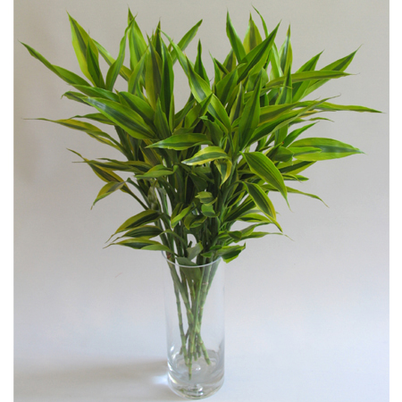 风水杂谈:聪明女人必知卧室风水忌讳